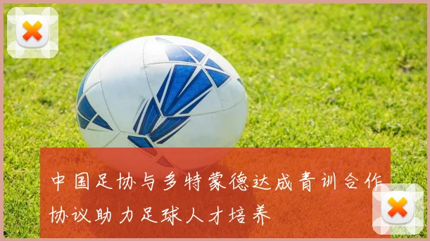 中国足协与多特蒙德达成青训合作协议助力足球人才培养