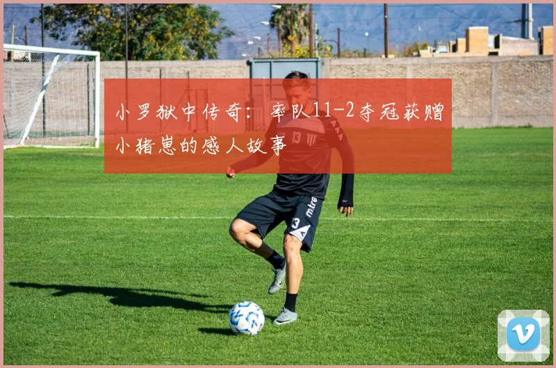 小罗狱中传奇：率队11-2夺冠获赠小猪崽的感人故事